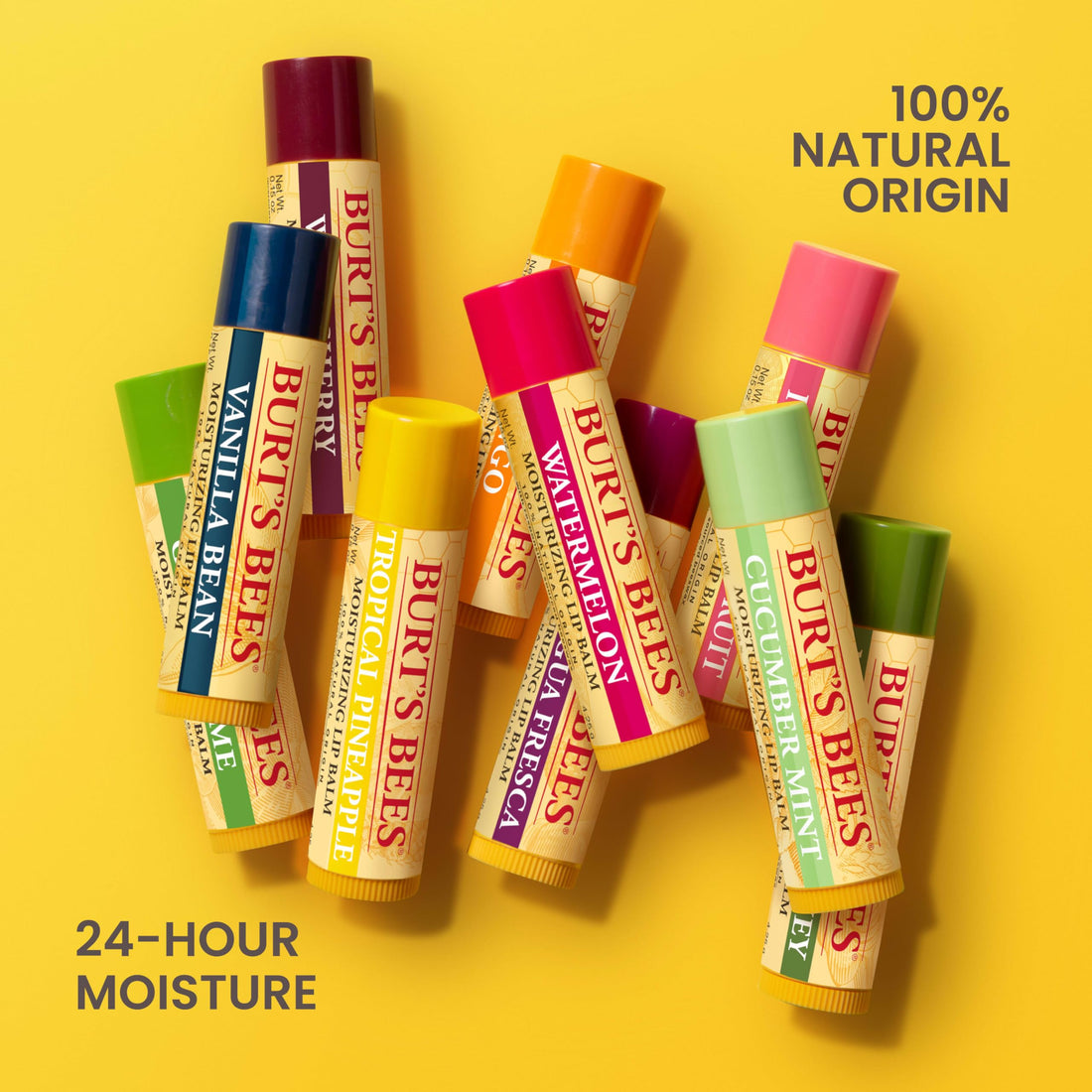 Burt's Bees Lip Balm Multipack, Chapstick Lip Balms With Beeswax And Vitamin E, Duo Value Pack, 2x4.25g Halalzen