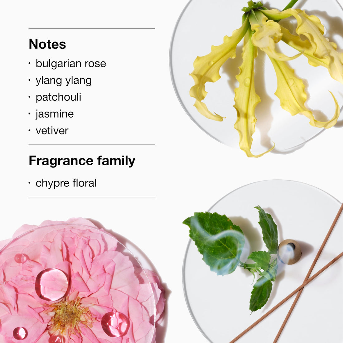 Clinique Aromatics Elixir Eau De Parfum Spray | Cult Classic Luxury Perfume | Notes Of Bulgarian Rose, Ylang Ylang, Patchouli, Jasmine + Vetiver Halalzen