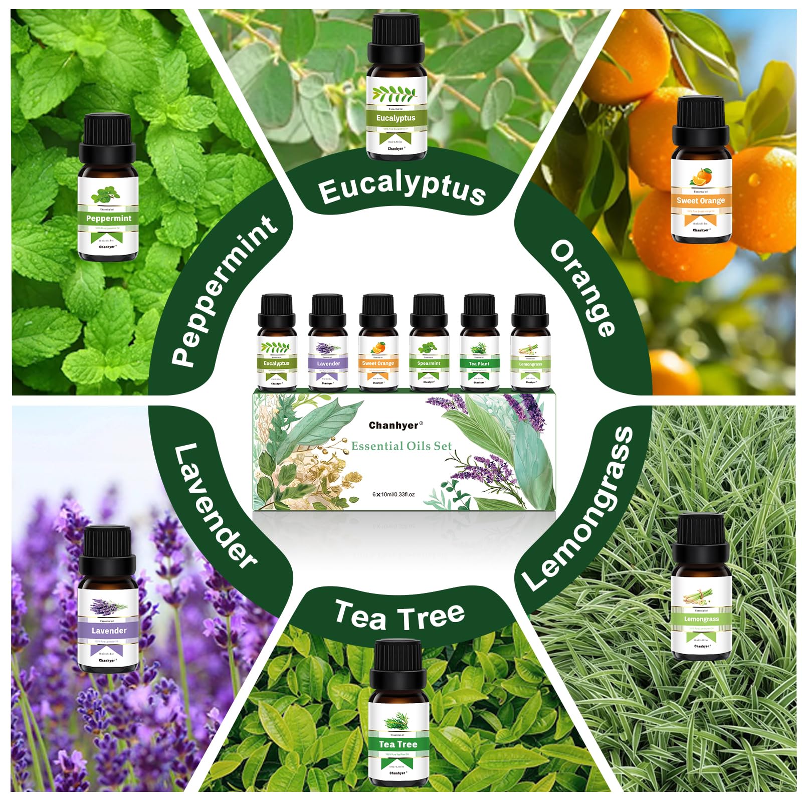 Hotel Collection Essential Oils for Diffusers for Home - 6 x 10 ml Luxury Scented Oil Set with Luxury Night,Jasmine Peppermint,White Tea,Citrus Happiness,My Way,Hotel Lobby,Gift for Women and Men