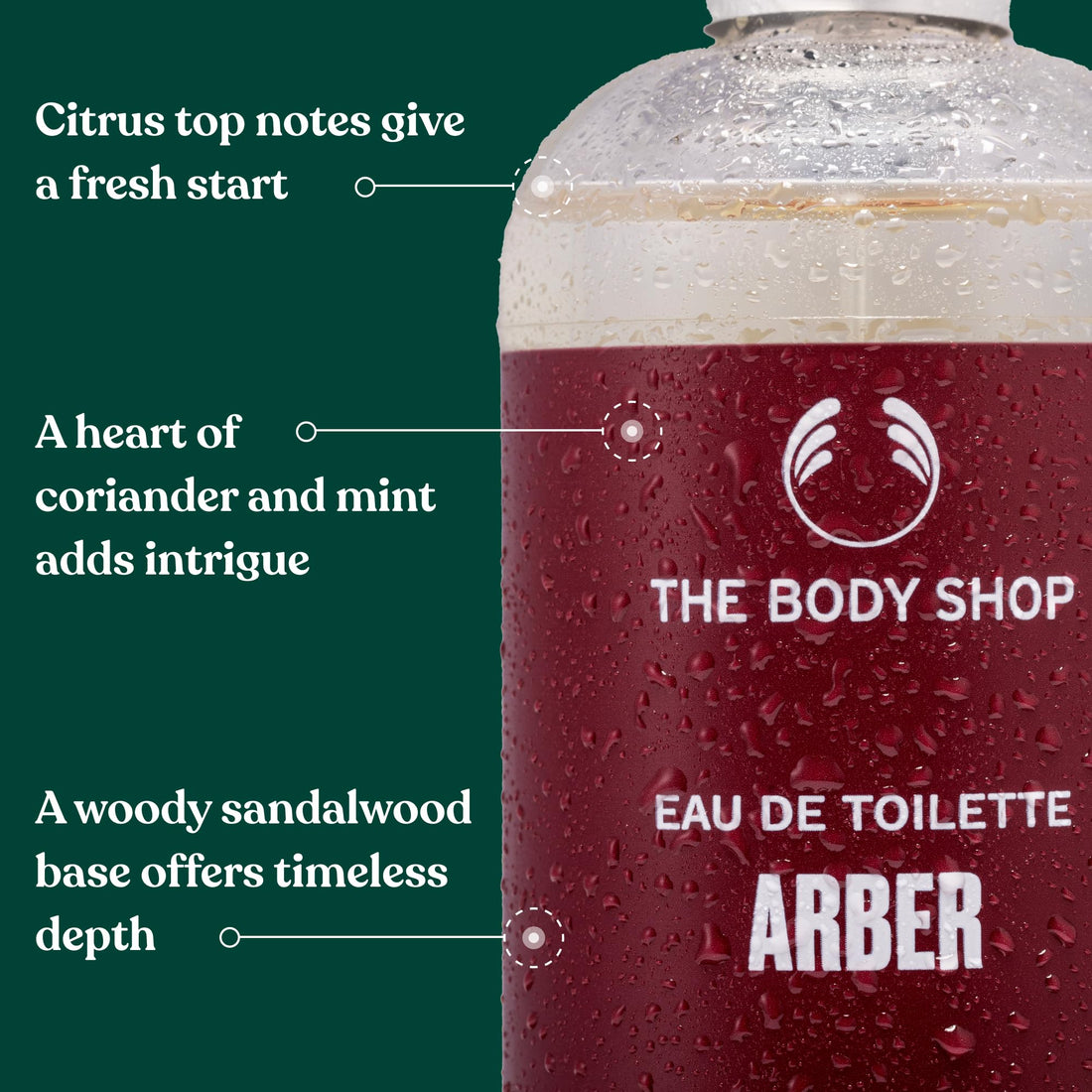 The Body Shop Arber Eau de Toilette (1x 100ml), Woody Citrus Men’s Eau de Toilette with Sandalwood, Coriander & Mint Notes, Cologne for Men, Vegan Fragrance for Men