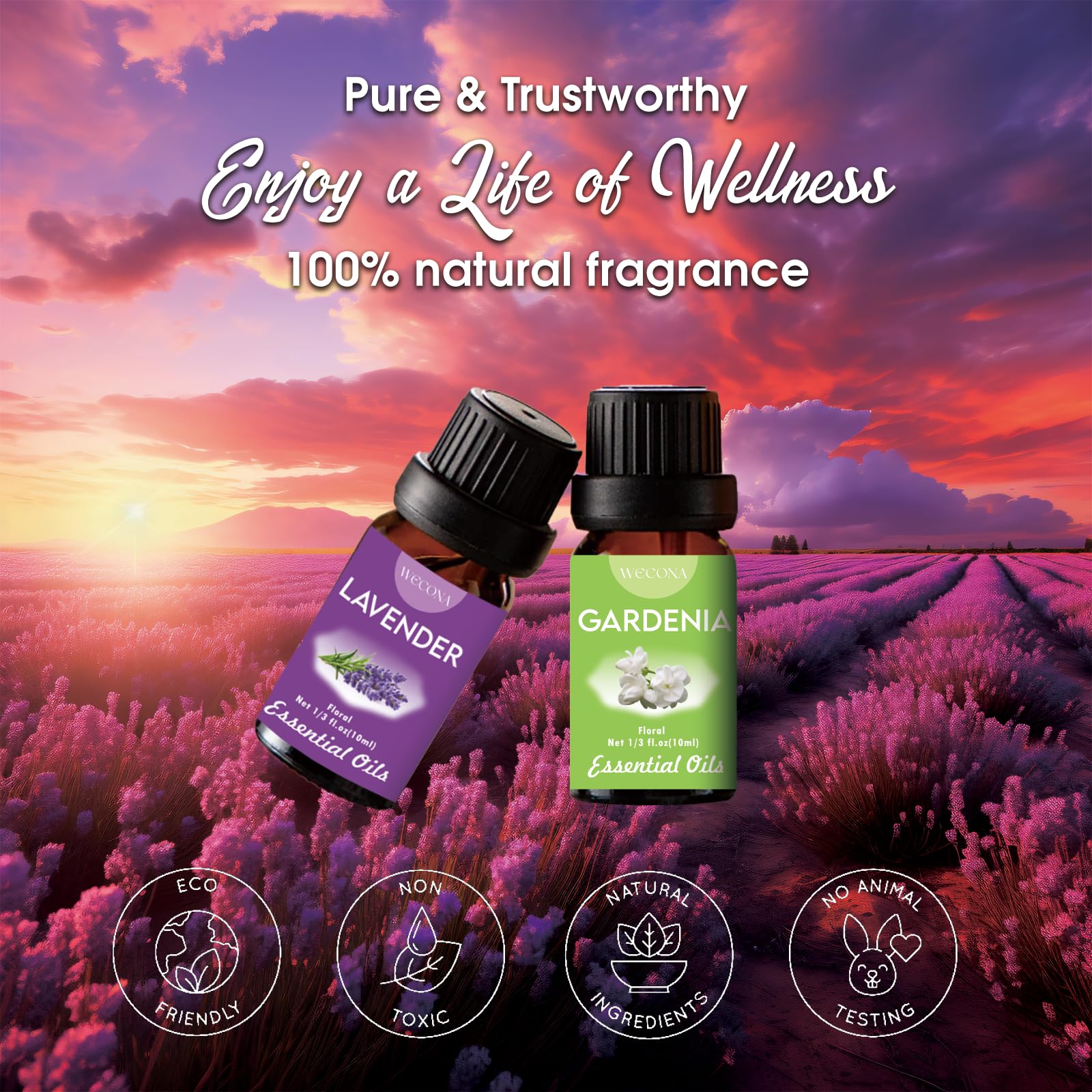 Premium Hotel Fragrance Oil Collection for Diffusers, Essential Oils for Diffusers for Home, Hotel Diffuser Fragrance Oils,Spa & Candle Making, White Tea, Citrus Luxe, Velvet Night and More - 6x10ml