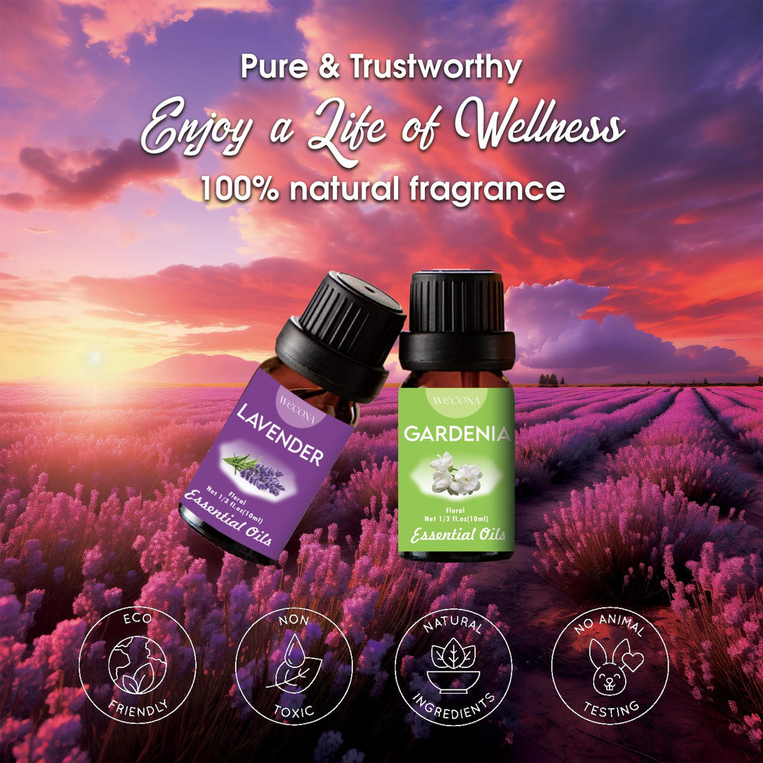 Premium Hotel Fragrance Oil Collection for Diffusers, Essential Oils for Diffusers for Home, Hotel Diffuser Fragrance Oils,Spa & Candle Making, White Tea, Citrus Luxe, Velvet Night and More - 6x10ml