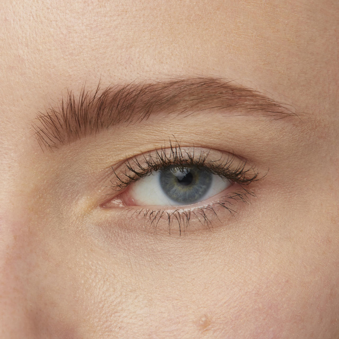 Maybelline New York Tattoo Brow Peel Off Eyebrow Gel Tint, Semi-Permanent Colour, Waterproof, Lasts up to 3 Days, Colour: Dark Brown