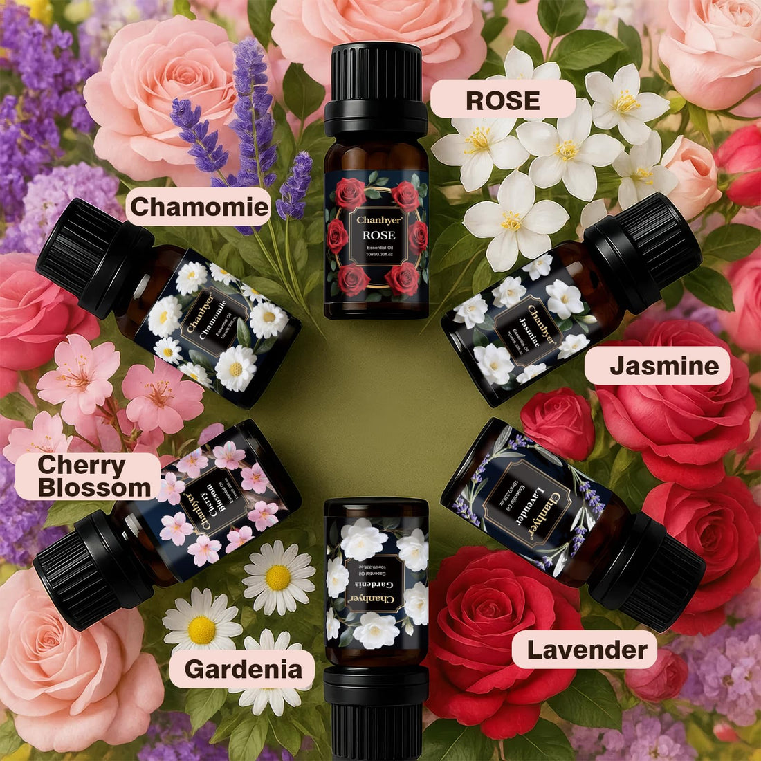 Hotel Collection Essential Oils for Diffusers for Home - 6 x 10 ml Luxury Scented Oil Set with Luxury Night,Jasmine Peppermint,White Tea,Citrus Happiness,My Way,Hotel Lobby,Gift for Women and Men