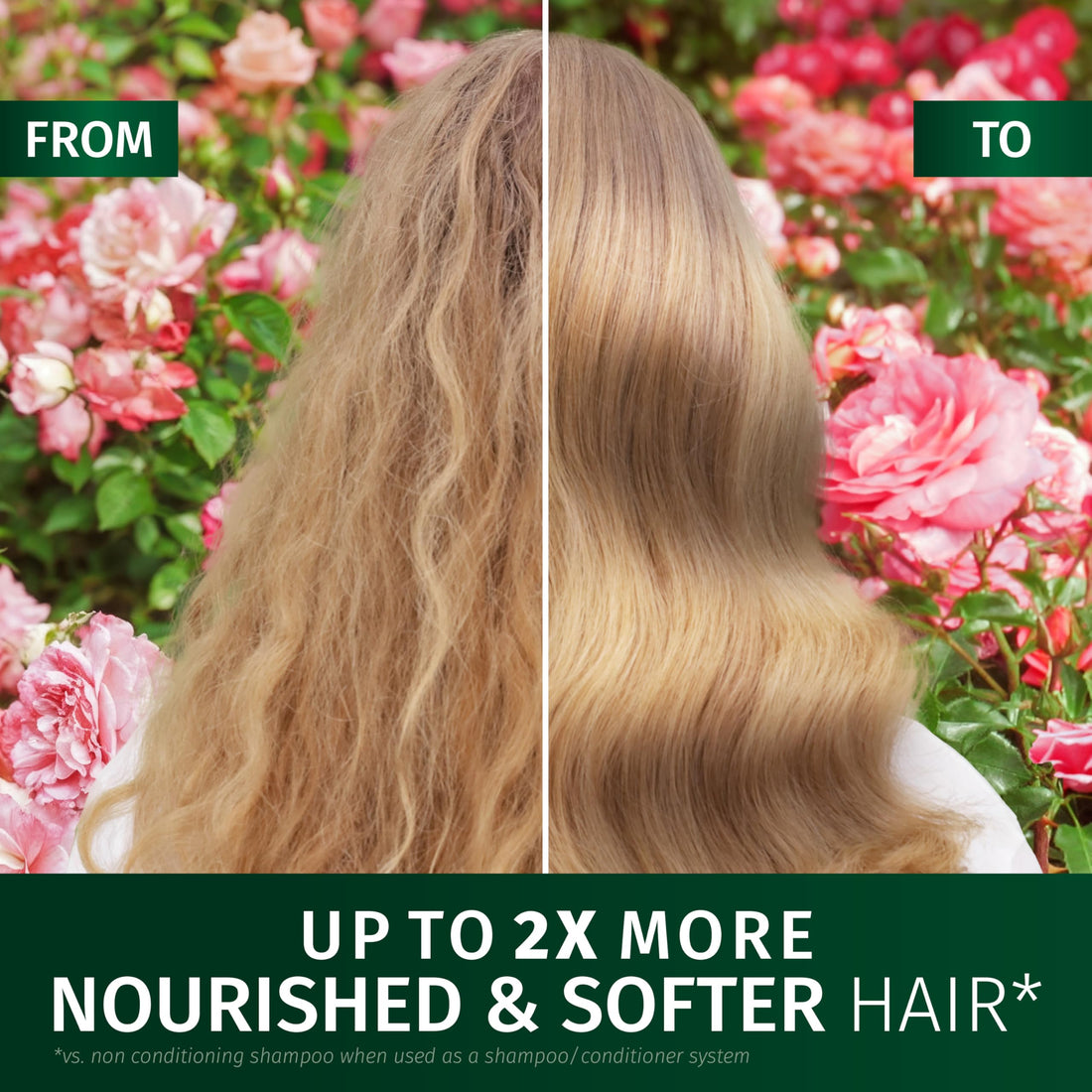 Herbal Essences Rose Scent Petal Soft Shampoo and Conditioner Set (2x350ml, 2x250ml) | Nourishes & Smoothens dry hair | Blended with Rose Essence & Natural Origin Ingredients | Vegan & Cruelty Free