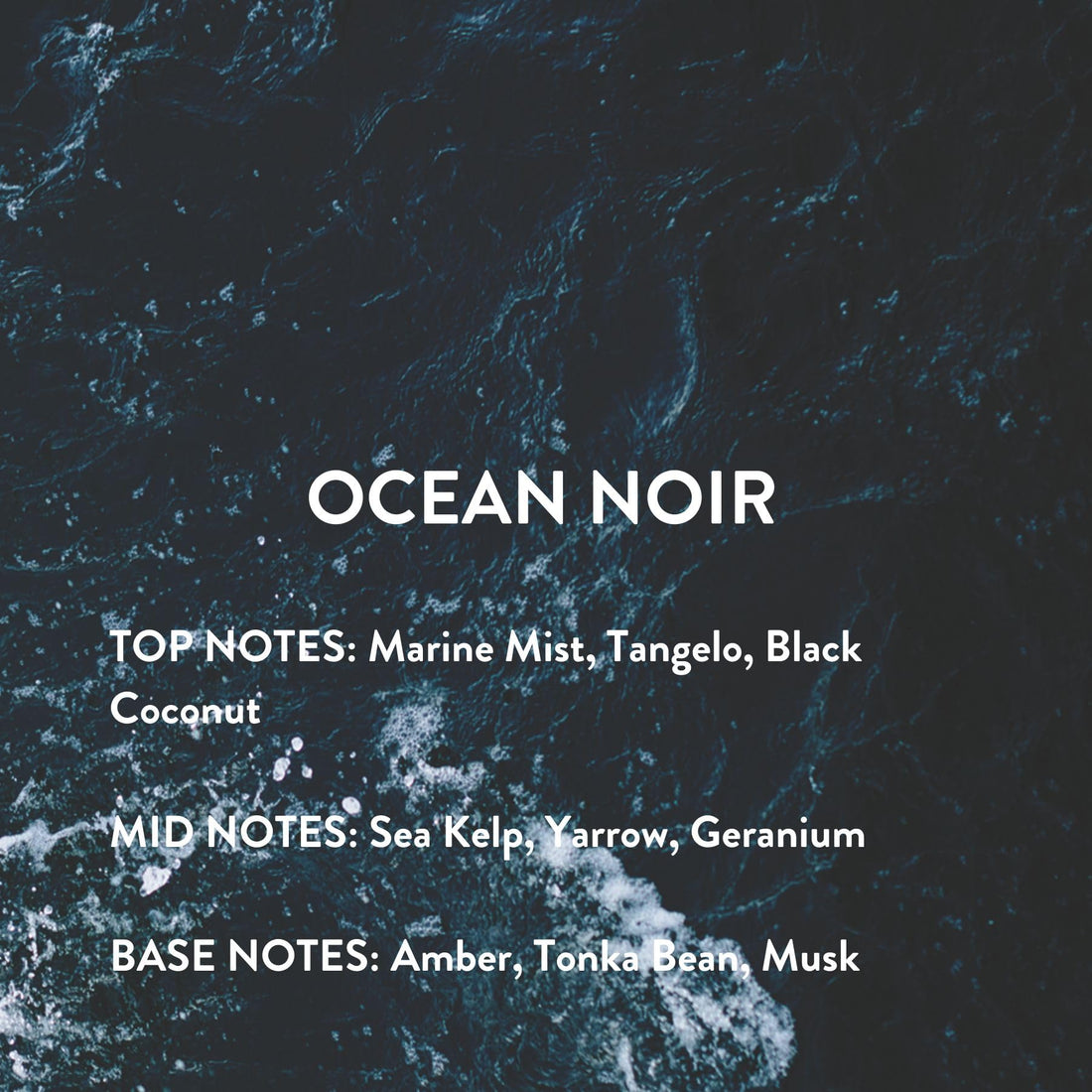 Michael Malul Ocean Noir Eau de Parfum for Men - 100ml | 3.4oz