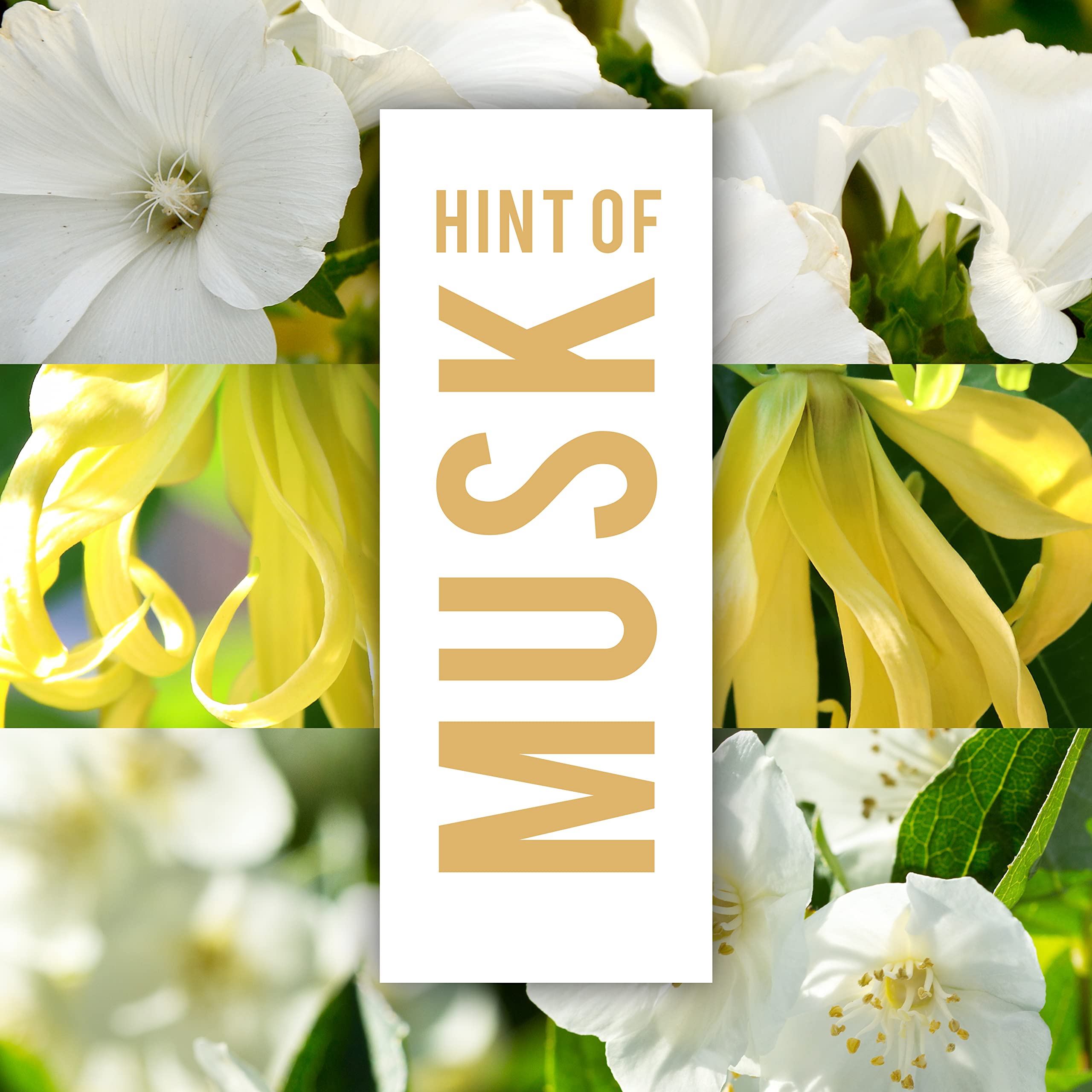 Impulse Hint Of Musk Body Spray Deodorant 150 ml Halalzen