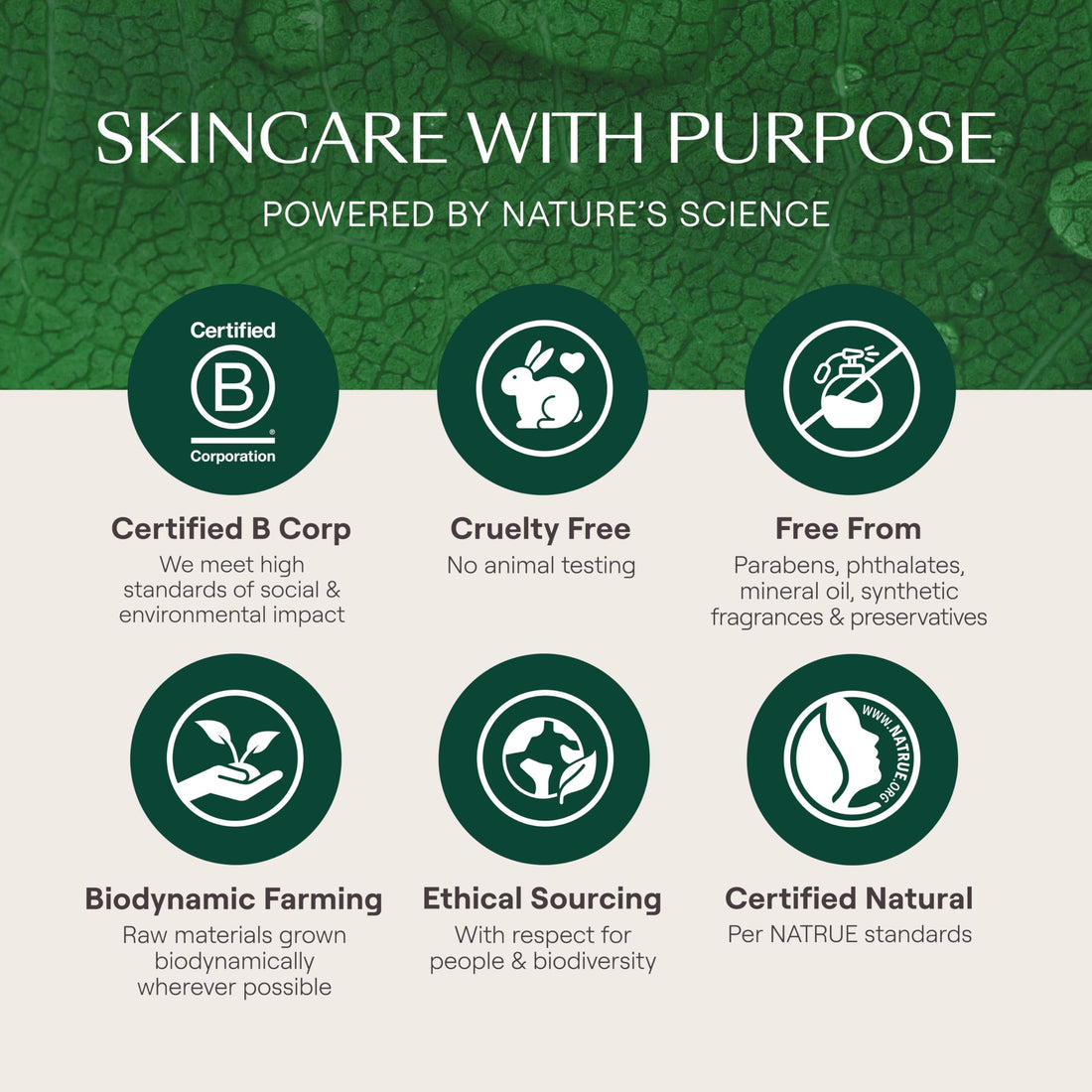 Weleda Skin Food Light, Dry Skin Moisturiser, Moisturising Cream & Primer, Face & Body, For Men & Women, Multiple Uses, 100% Certified Natural, Organic, 75ml