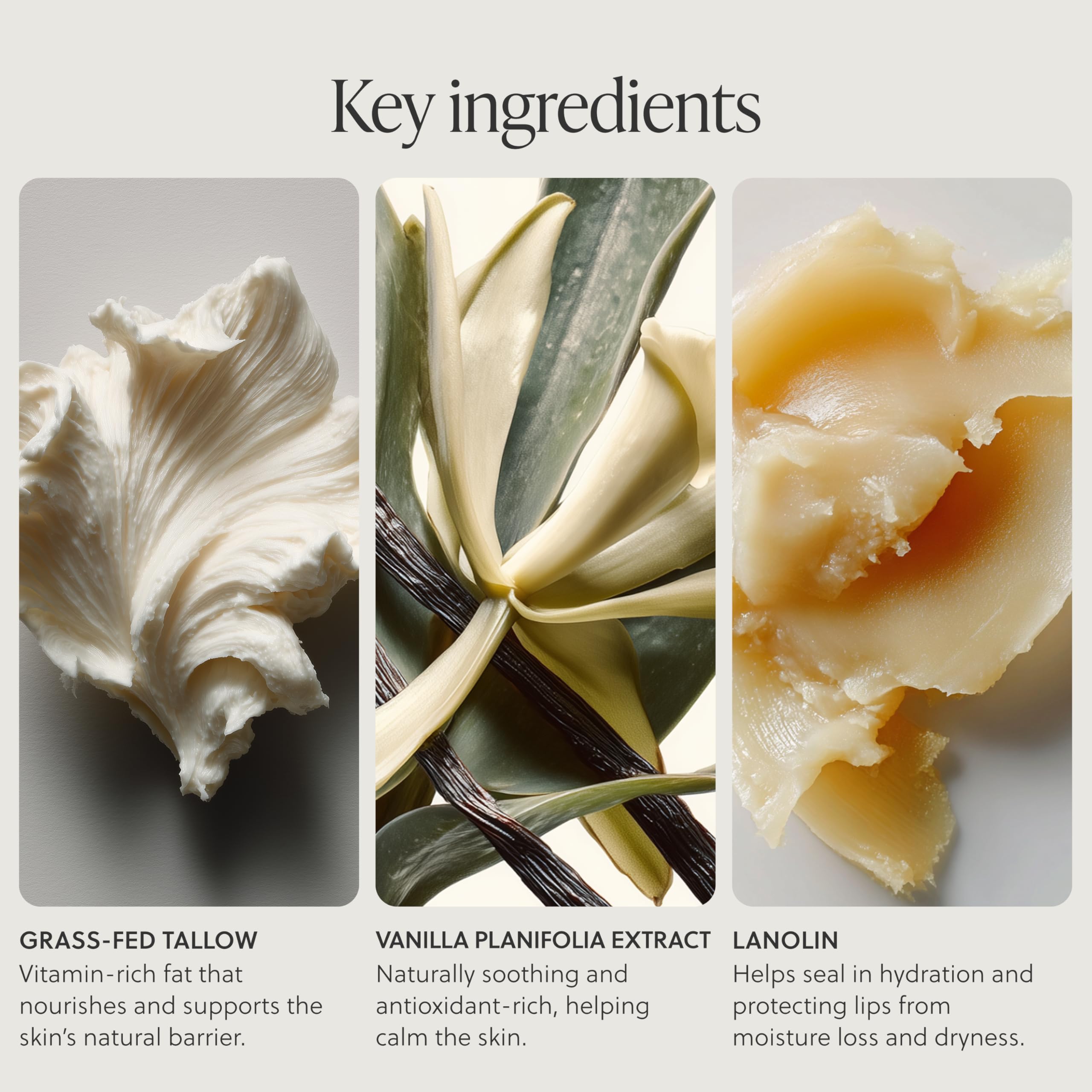Grass-Fed Tallow Lip Balm, Lip Sleeping Mask, Overnight Moisturizer, Natural & Clean Moisturizing Lip Balm Vitamins A, D, E, & K, Nourishes and Smooths Dry & Chapped Lip (Citrus) Halalzen
