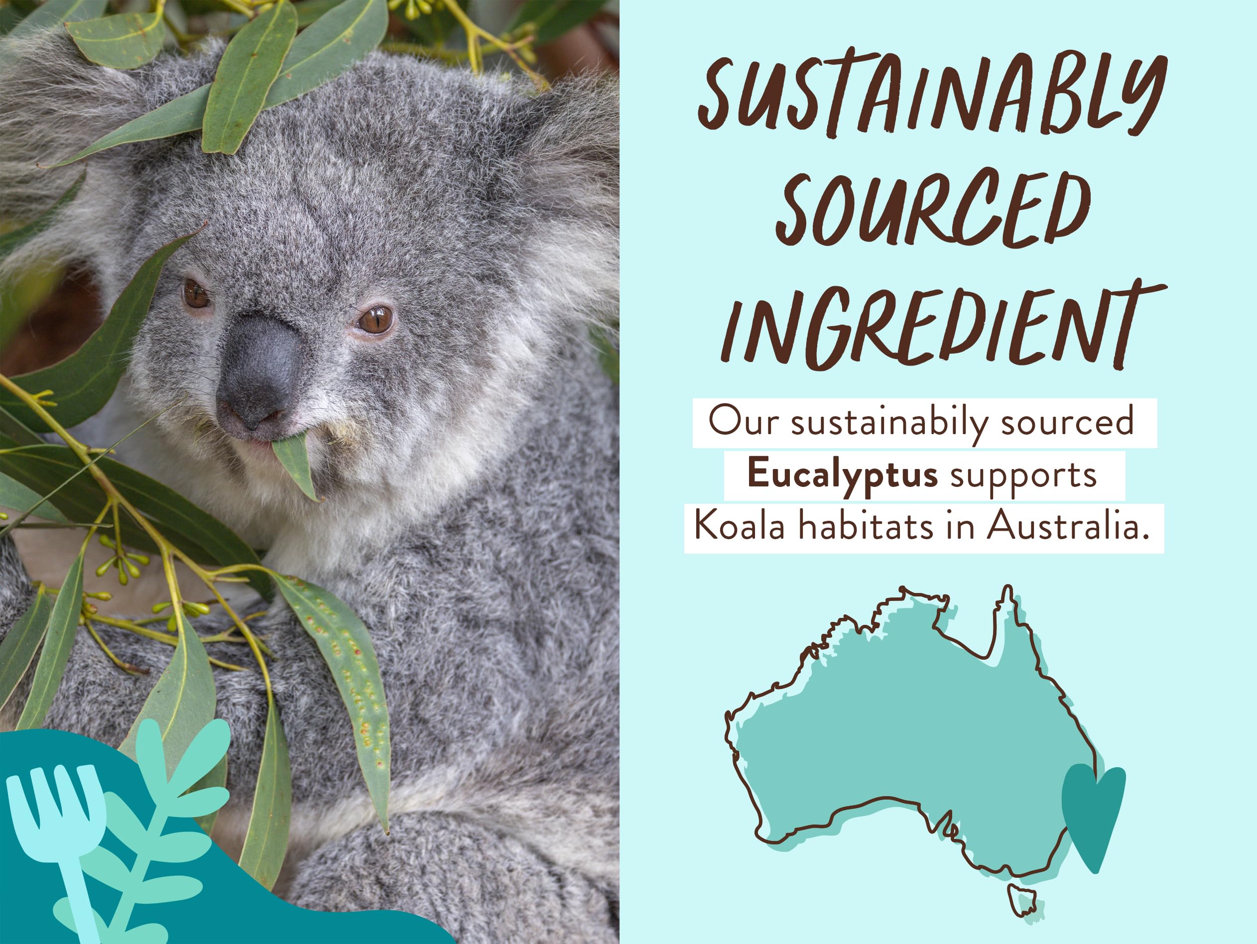 BABO Botanicals Eucalyptus Remedy 2-in-1 Bubble Bath & Wash - Invigorating Eucalyptus, Rosemary & Peppermint - for All Ages - EWG Verified - Vegan Halalzen