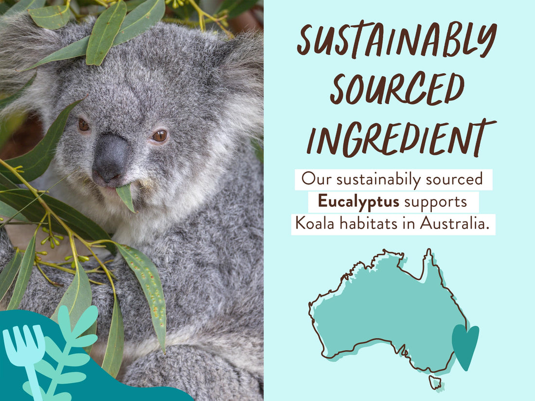 BABO Botanicals Eucalyptus Remedy 2-in-1 Bubble Bath & Wash - Invigorating Eucalyptus, Rosemary & Peppermint - for All Ages - EWG Verified - Vegan Halalzen