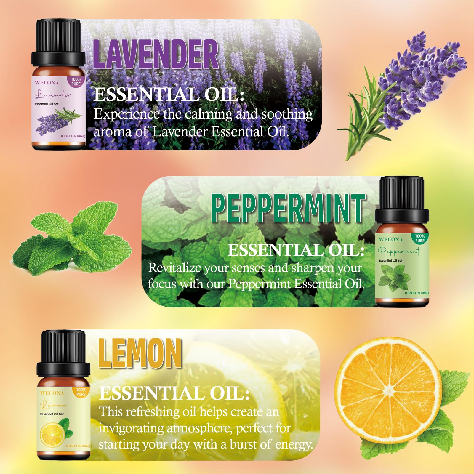 Premium Hotel Fragrance Oil Collection for Diffusers, Essential Oils for Diffusers for Home, Hotel Diffuser Fragrance Oils,Spa & Candle Making, White Tea, Citrus Luxe, Velvet Night and More - 6x10ml