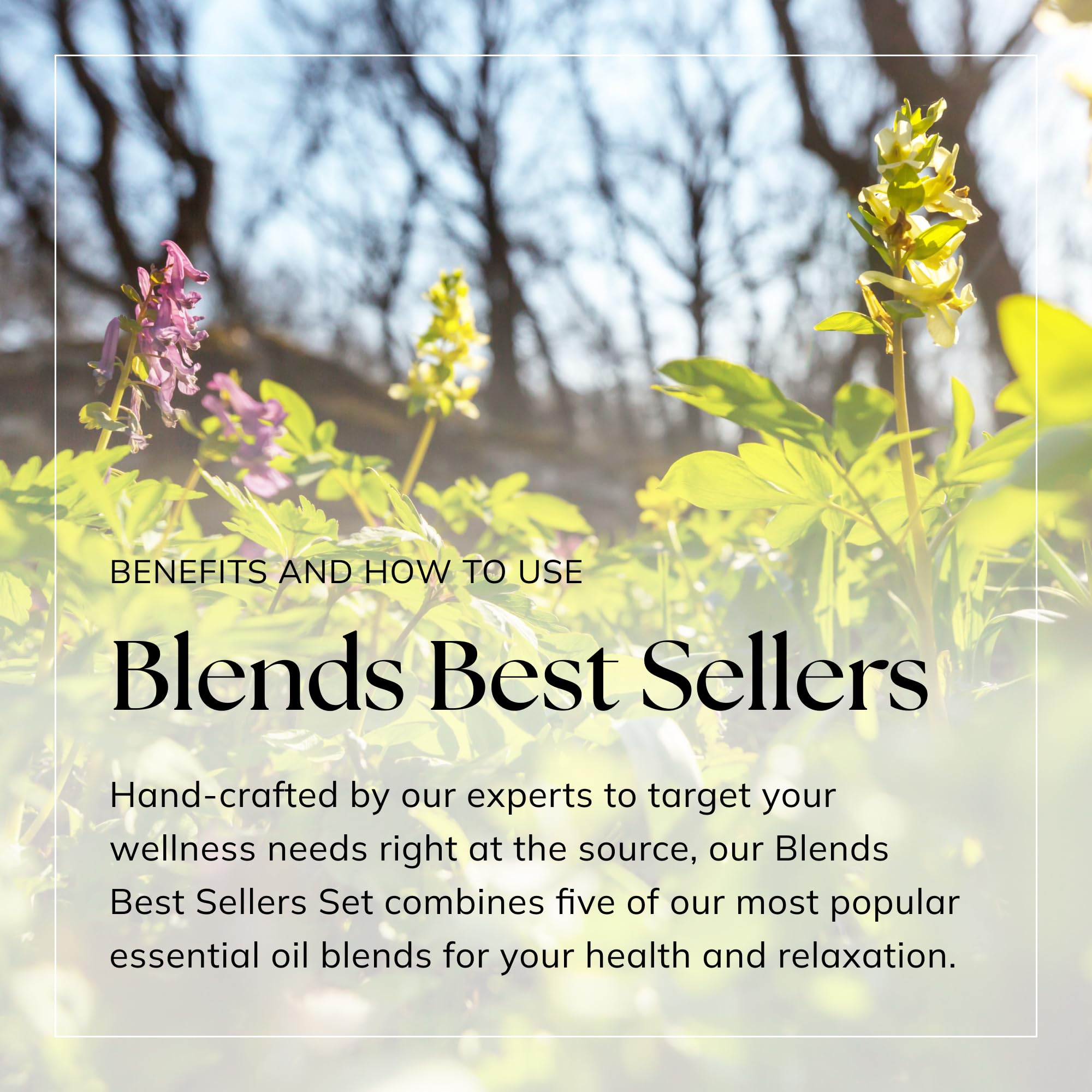 Nikura Essential Oils Blends Gift Set | Calming Essential Oils for Diffusers for Home, Sleep, Wax Melts | Relaxing Aromatherapy Oils | UK Made & Vegan