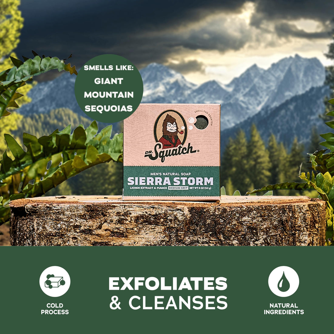Dr. Squatch Natural Men’s Bar Soap - Cold Process Body Soap Bar with Natural Oils - Gifts for Men - Coconut Castaway (5 oz, 3-Pack)