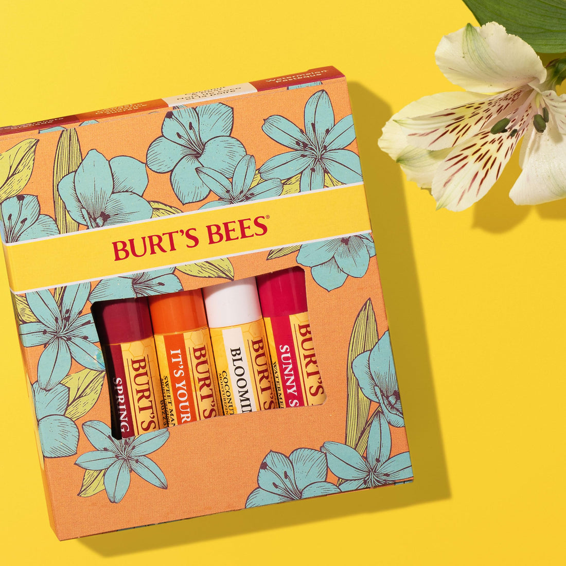Burt's Bees Lip Balm Gift Set, Beeswax, Strawberry, Tropical Pineapple, Dragonfruit Lemon, In Full Bloom, 4x4.25g Halalzen