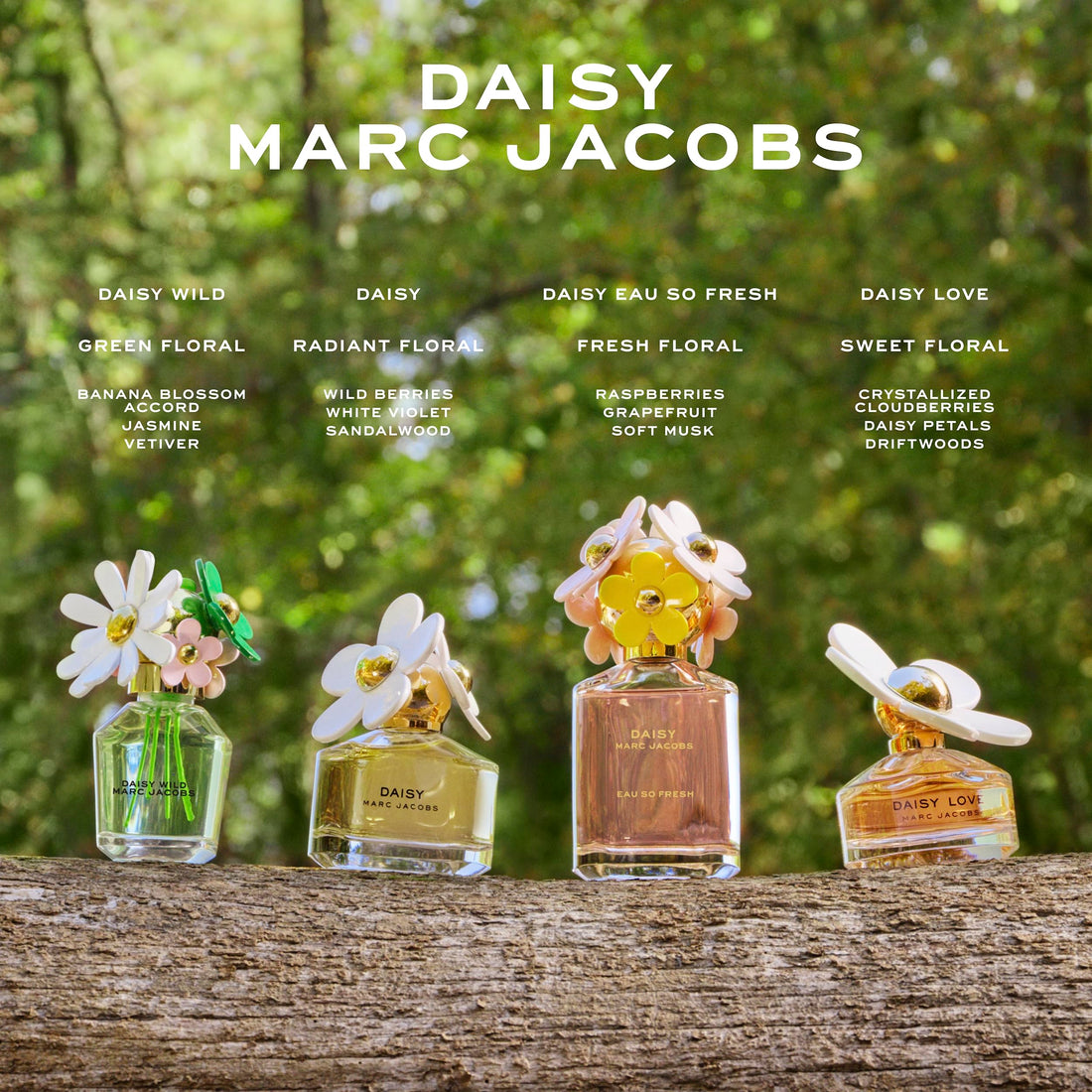 Marc Jacobs Daisy Eau de Toilette – Strahlendes Blumenparfum für Damen – Mit Noten von Walderdbeeren