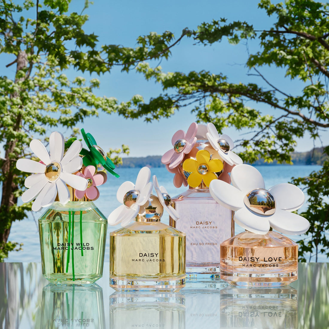 Marc Jacobs Daisy Eau de Toilette – Strahlendes Blumenparfum für Damen – Mit Noten von Walderdbeeren
