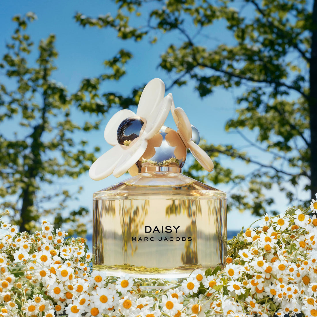 Marc Jacobs Daisy Eau de Toilette – Strahlendes Blumenparfum für Damen – Mit Noten von Walderdbeeren