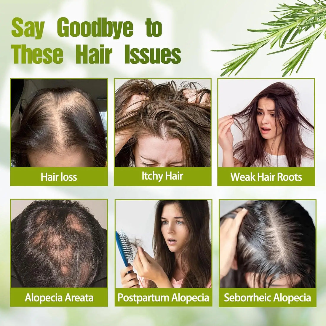 Rosemary Hair Growth Shampoo/Conditioner/Essential Oil Hydrolyzed Keratin natural extract of rosemary Nourishes Regenerates Hair