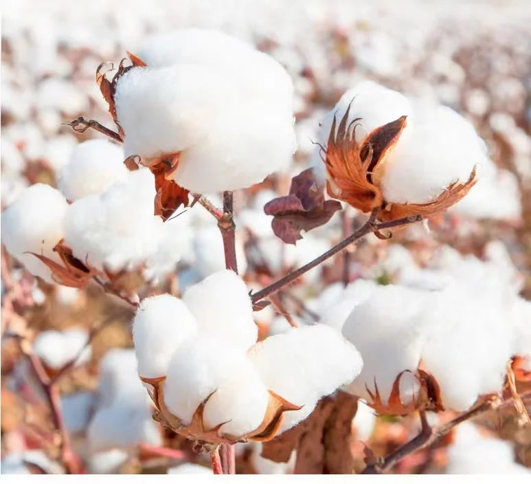 Bodybuilding Weight Mens Gym Workout MMA T-shirt Hand Made Sport Motivation Writing Pain Is Weakness Tshirt New Steroid