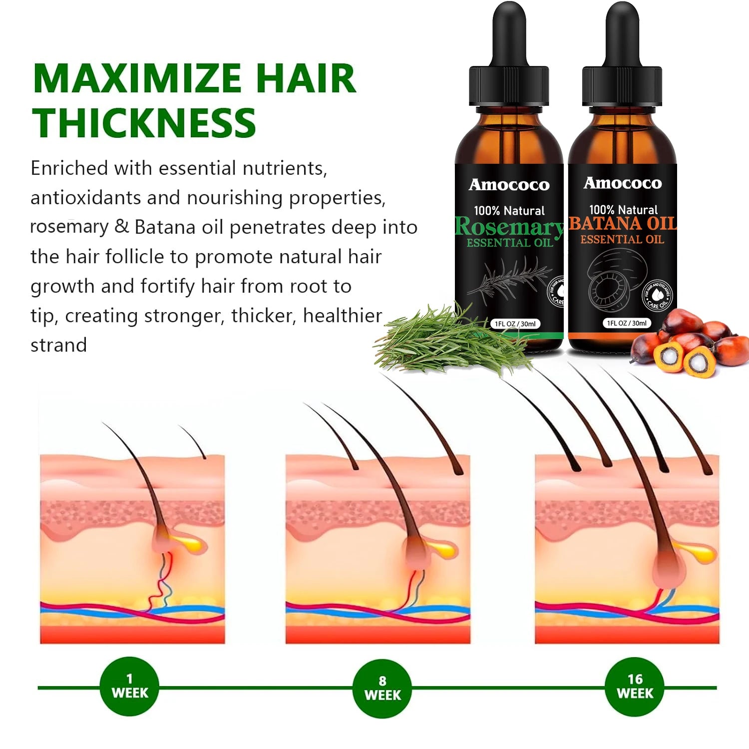 Amococo 2 pack Rosemary Oil Batana Oil 30ml each Hair Oil Duo Scalp Care Oil Nourishing Hair Serum for Dry Frizzy Hair Smooth Shiny Hair Care