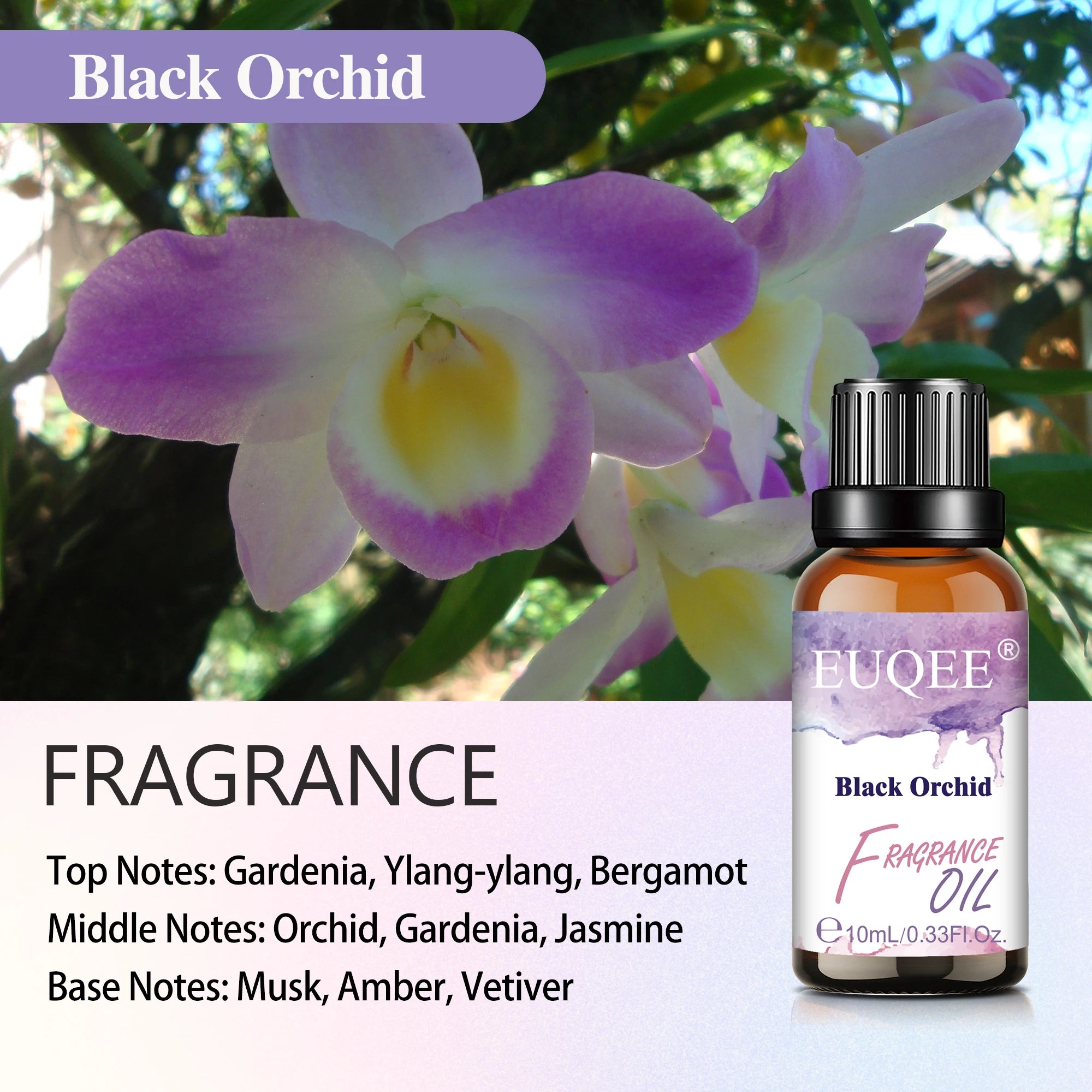 EUQEE 10ml 30ml 100ml Blend Essential Oil White Musk Baby Powder Almond & Vanilla Fragrance Oil for Diffuser Making Candle