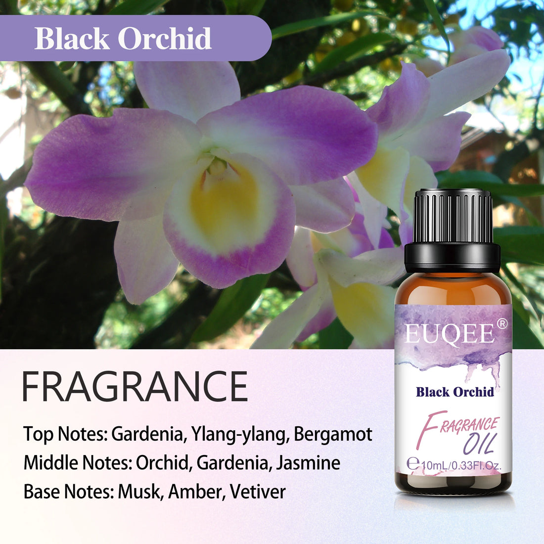 EUQEE 10ml 30ml 100ml Blend Essential Oil White Musk Baby Powder Almond & Vanilla Fragrance Oil for Diffuser Making Candle