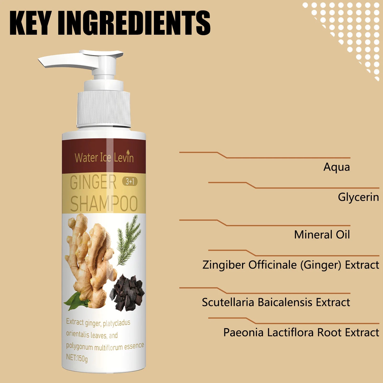Ginger Regrowth Shampoo Anti Hair Loss Oil Control Dandruff Removal Moisturiz Nourish Scalp Repair Damaged Hair Growth Shampoo