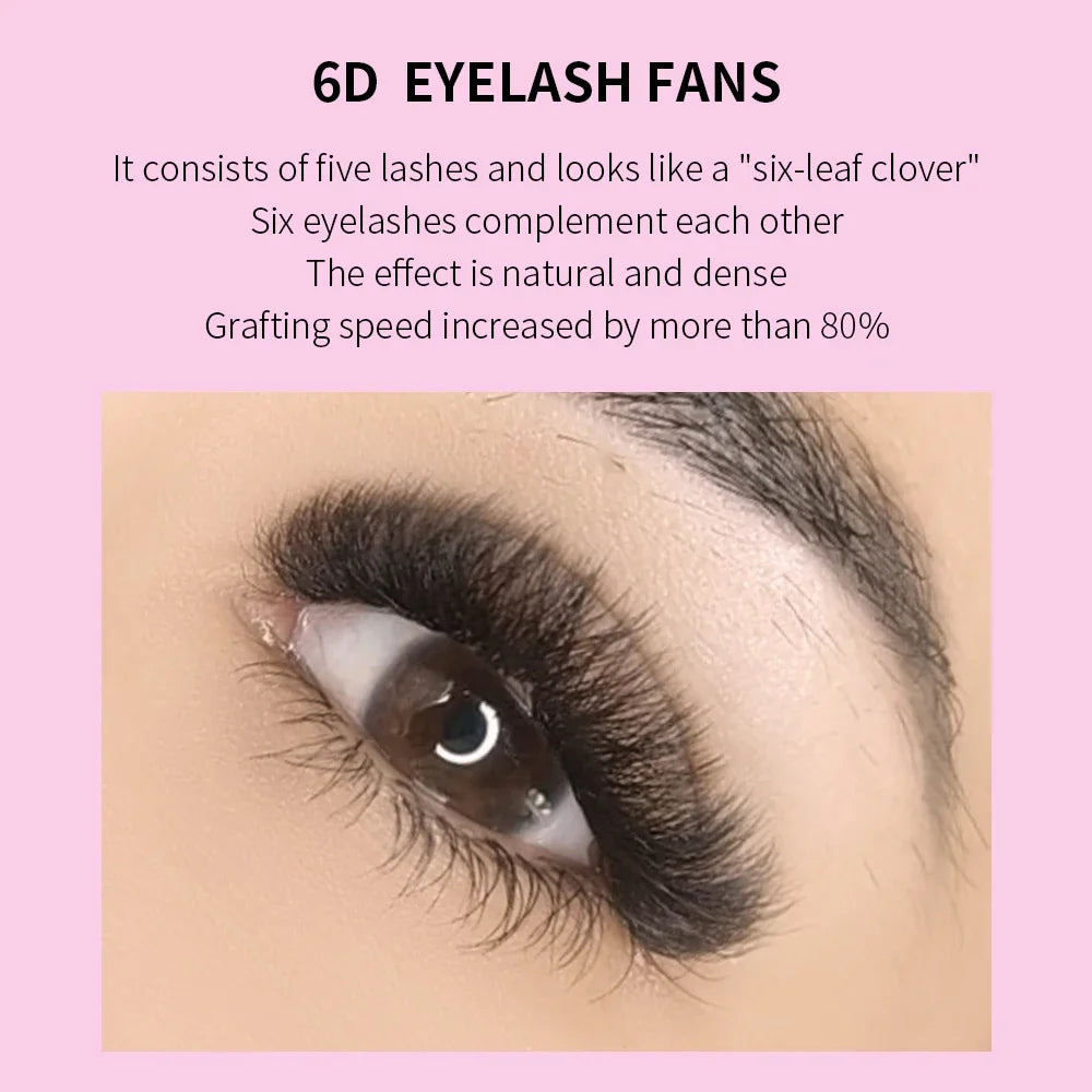 GLAMLASH 6D-W Shaped Eyelash Extension Premade Volume Fans Clover W Style Lashes False Mink Soft Easy Faning Natural Makeup Tool