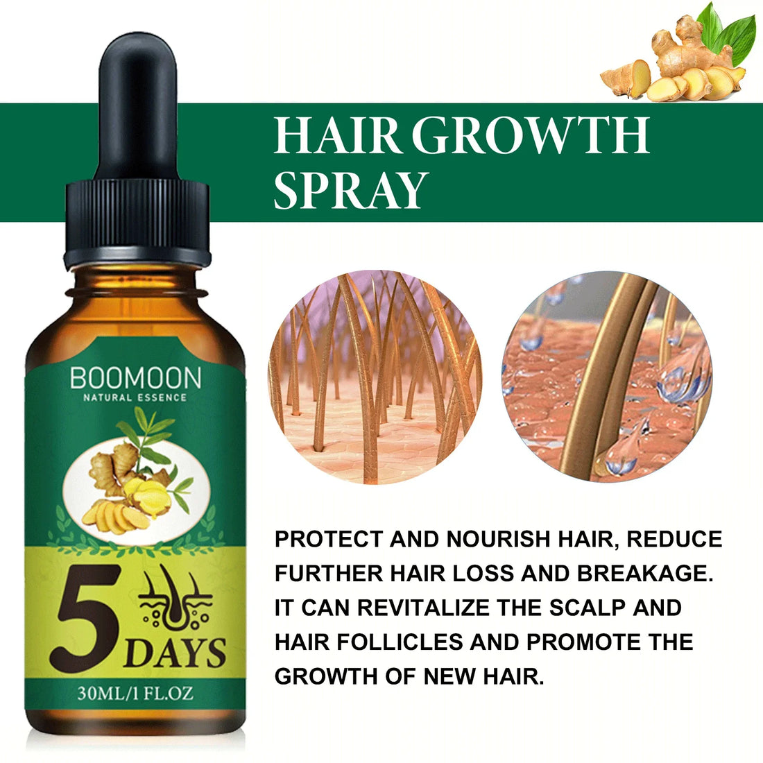 Hair Growth Essence Oil Anti Hair Loss Prevent Baldness Treatment Fast Nourish Scalp Ginger Hair Growth Oil Hair Care