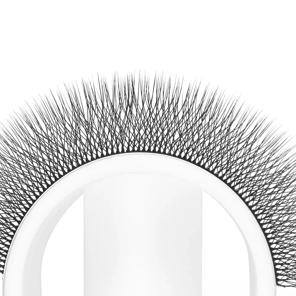 GLAMLASH 6D-W Shaped Eyelash Extension Premade Volume Fans Clover W Style Lashes False Mink Soft Easy Faning Natural Makeup Tool