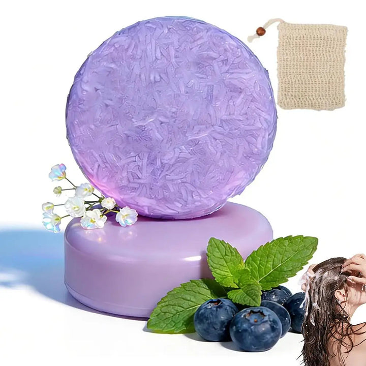 Blueberry Shampoo & Conditioner Bundle Bar for Hair Thinning Frizz, Blueberry Solid Shampoo & Conditioner Strengthen Hair Care Halalzen