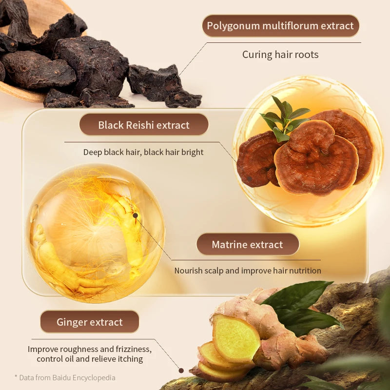 Black sesame seed Polygonum multiflorum Oil Control Refreshing Clean Hair Black Hair Maintenance Flowing hair Herbal Essence240g Halalzen