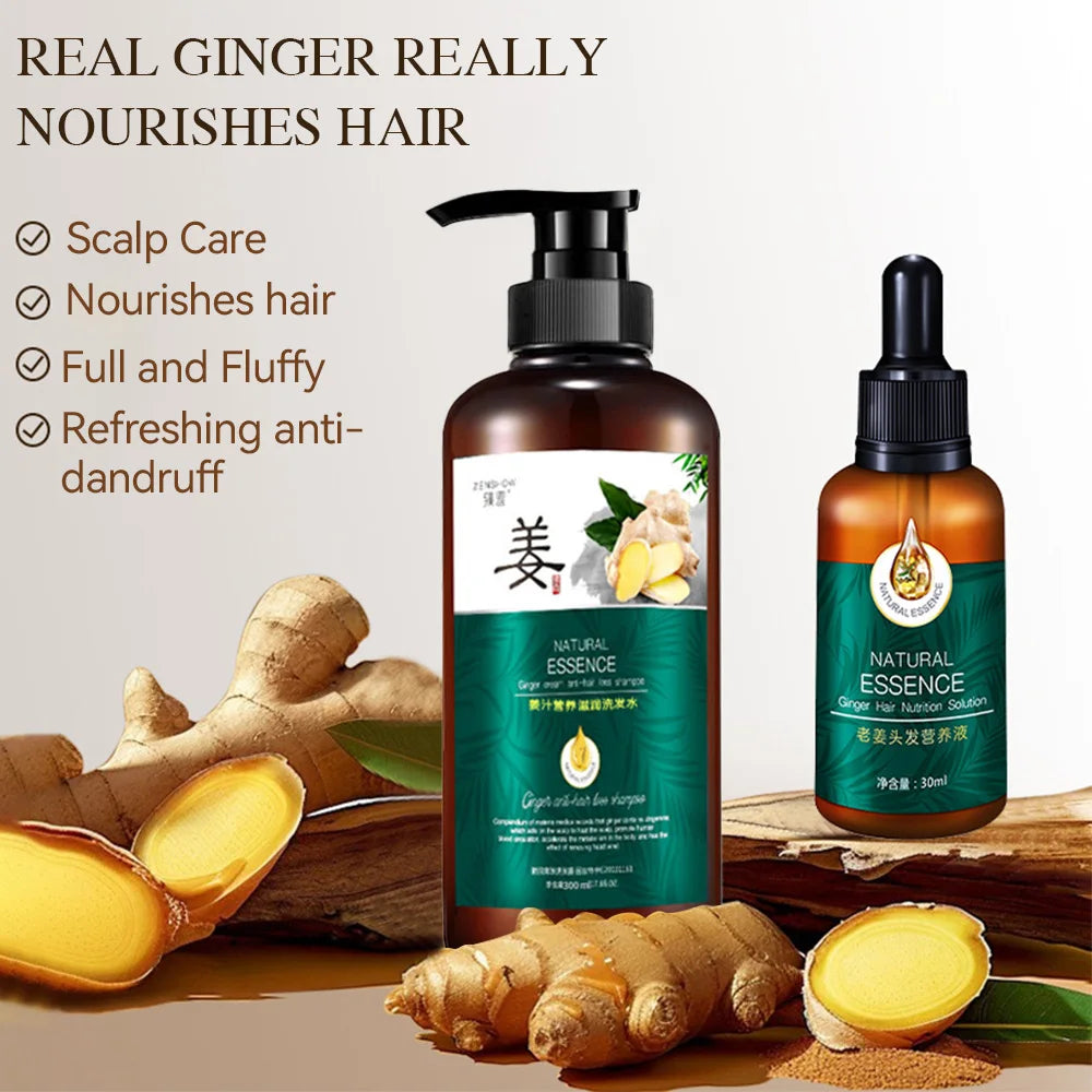 Ginger Hair Growth Essential Oil Shampoo Natural Anti Hair Loss Hair Care Prevent Hair Dry Frizzy Damaged Repair Care Hair Oil