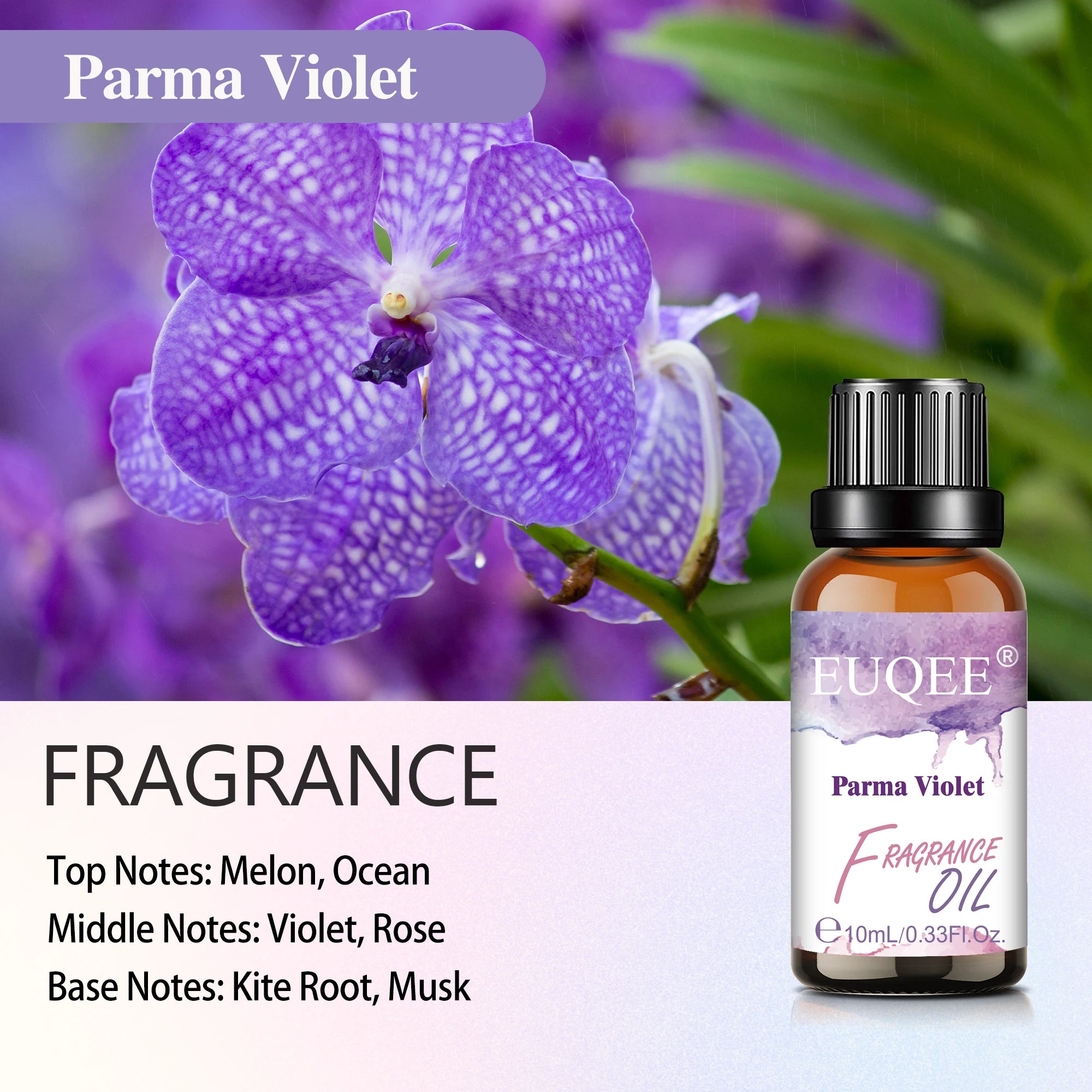 EUQEE 10ml 30ml 100ml Blend Essential Oil White Musk Baby Powder Almond & Vanilla Fragrance Oil for Diffuser Making Candle