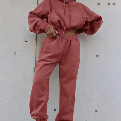 Sport Thick Winter Women Tracksuit Pink Fleece Sweatpants and Sweatshirts Suit for Women Pants And Top Set 2 Piese Set