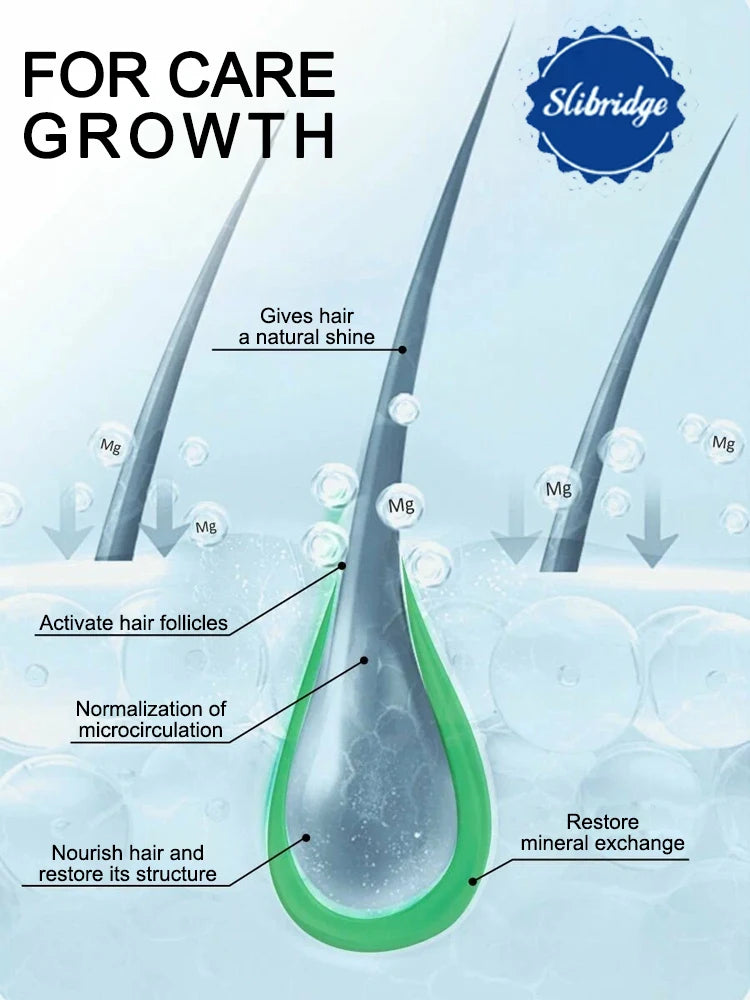 2025 nouvelle vente chaude applicateur de cuir chevelu rouleau de Massage brosse applicateur de cheveux combinaison Halalzen