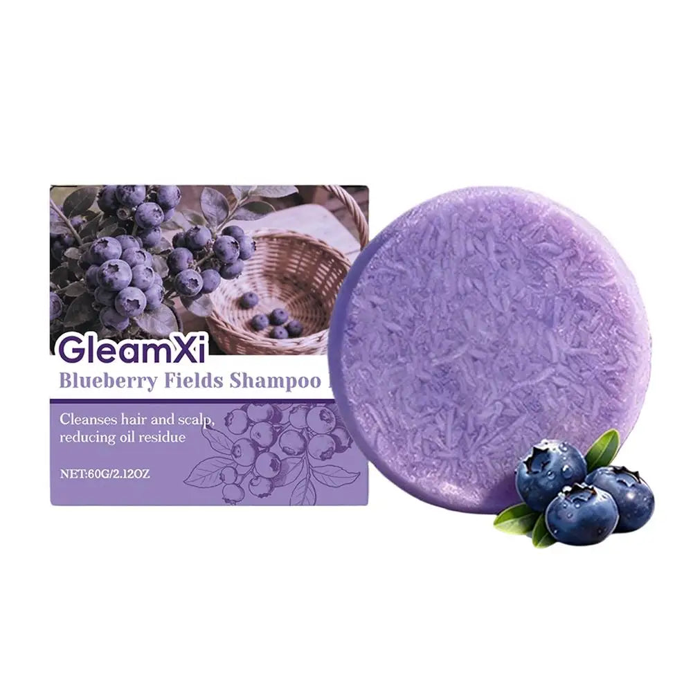 Blueberry Fields Shampoo & Conditioner Bundle Bars Strengthen & Norish Hair, Gentle Moisturizing Scalp Dry & Damaged Hair Care Halalzen