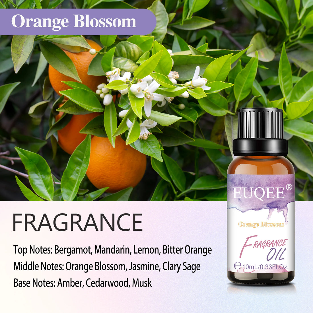 EUQEE 10ml 30ml 100ml Blend Essential Oil White Musk Baby Powder Almond & Vanilla Fragrance Oil for Diffuser Making Candle