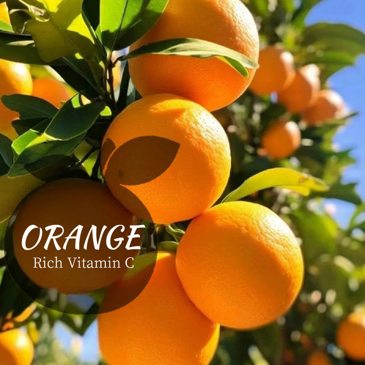 Vc Orange Cleansing Mousse, Silicone Soft Brush Head Cleanses Face, Natural Ingredients Gently Moisturize Skin Halalzen